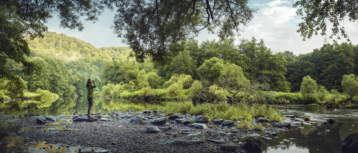 In urwüchsigen Wäldern: Nationalpark Thayatal