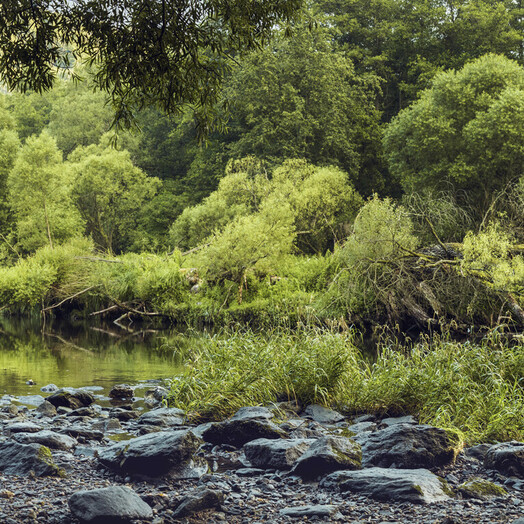 In urwüchsigen Wäldern: Nationalpark Thayatal