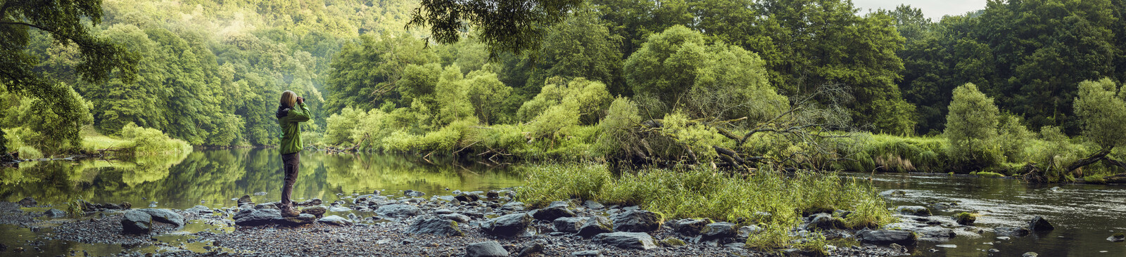 In urwüchsigen Wäldern: Nationalpark Thayatal