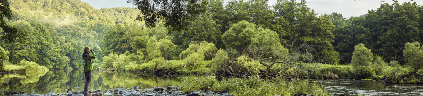 In urwüchsigen Wäldern: Nationalpark Thayatal