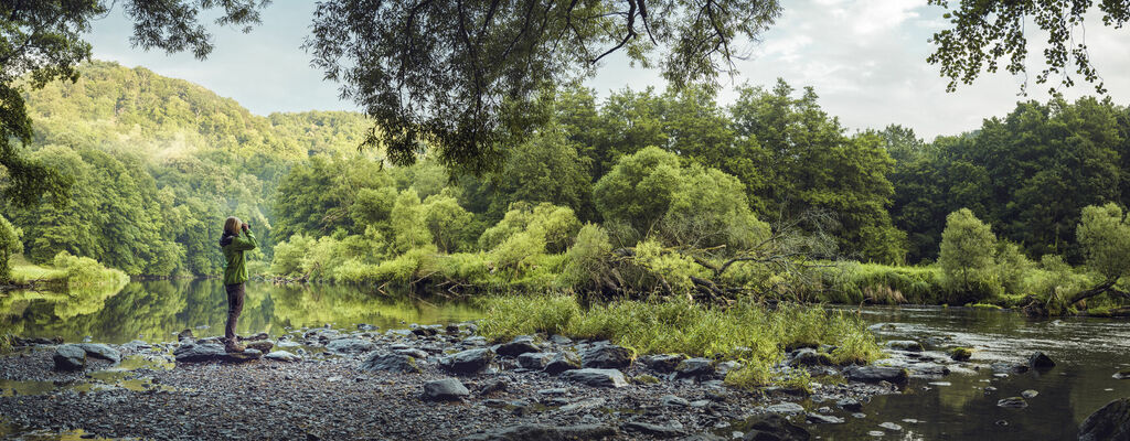 In urwüchsigen Wäldern: Nationalpark Thayatal
