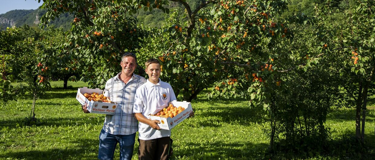 Familie Kienesberger-Kaufmann vom Marillen- und Radlerhof Kienesberger