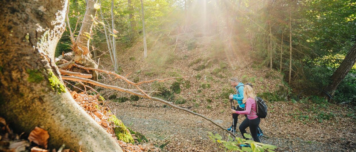 Wandern am Wörthersee