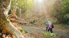 Wandern am Wörthersee