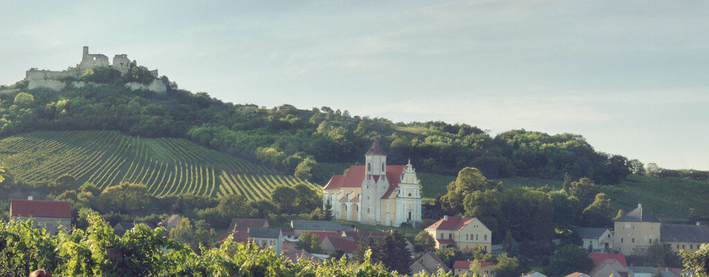 Tafeln im Weinberg
