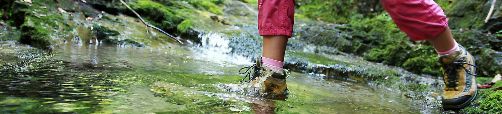 Mostviertel: Wandern an der Via Aqua