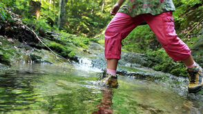 Mostviertel: Wandern an der Via Aqua