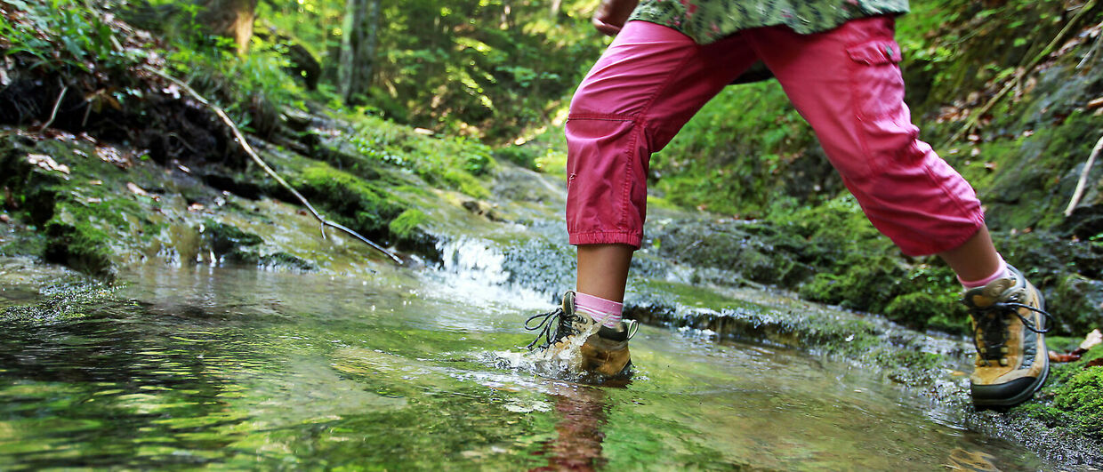 Mostviertel: Wandern an der Via Aqua