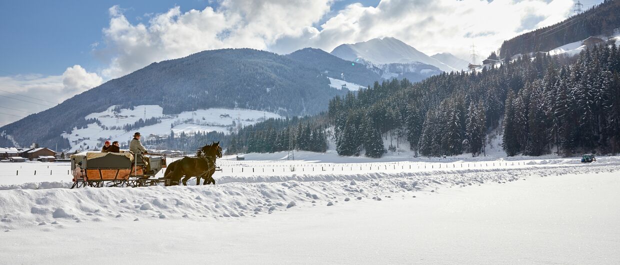 Im Pferdeschlitten durchs SalzburgerLand