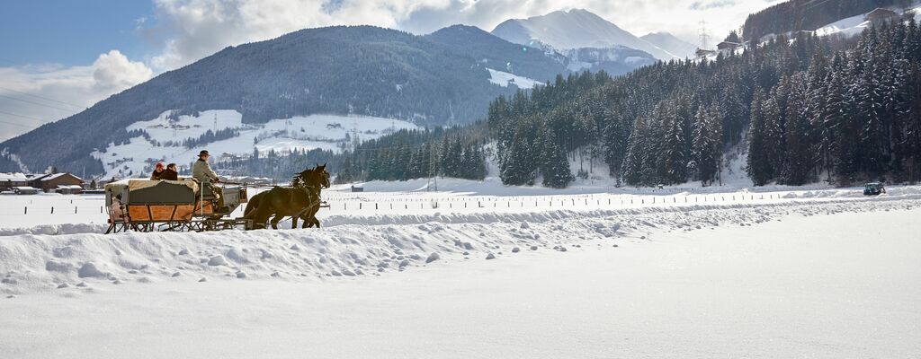 Im Pferdeschlitten durchs SalzburgerLand