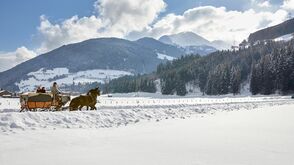 Im Pferdeschlitten durchs SalzburgerLand