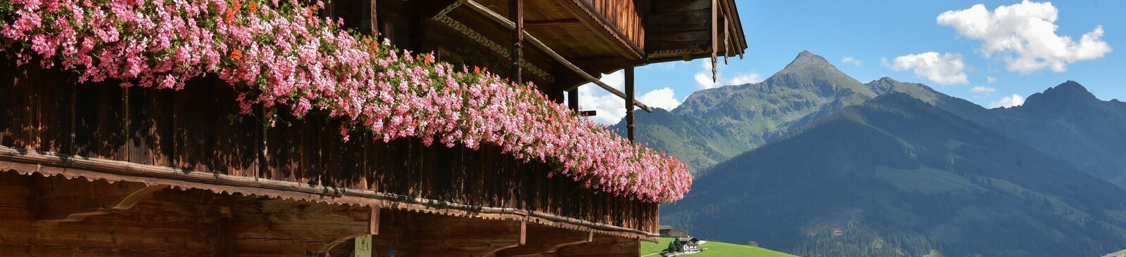 Erbhof Alpbach Thierberg (c) Alpbachtal Tourismus / Bernhard Berger