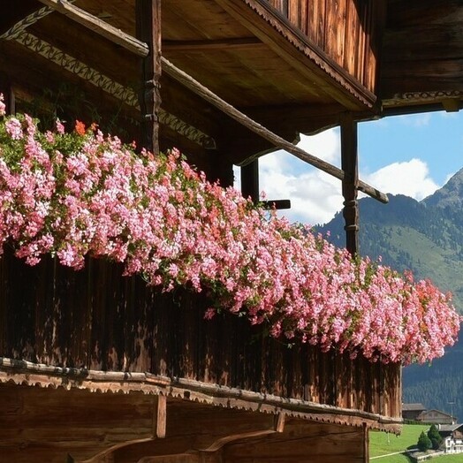 Erbhof Alpbach Thierberg (c) Alpbachtal Tourismus / Bernhard Berger
