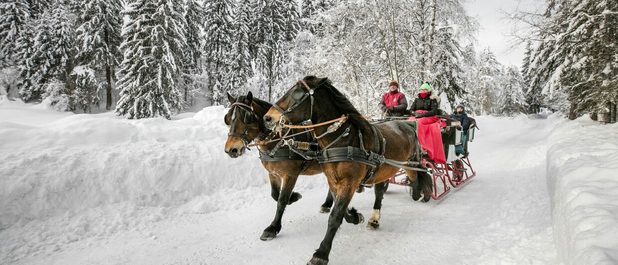 Mit dem Pferdeschlitten durch die malerische Landschaft am Weissensee