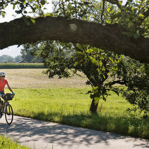 Tour à vélo à travers le Tyrol
