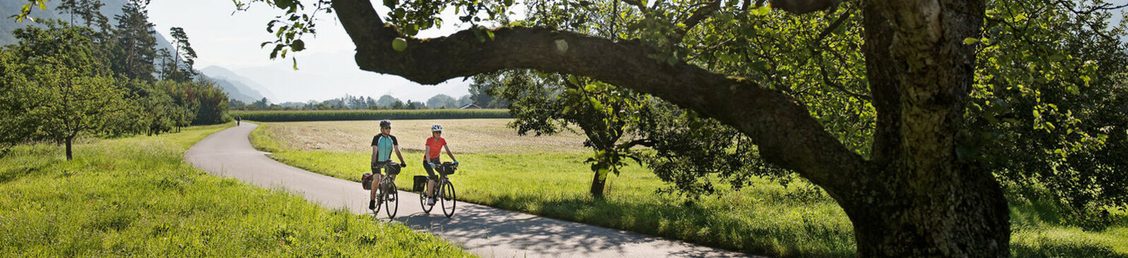 Tour à vélo à travers le Tyrol
