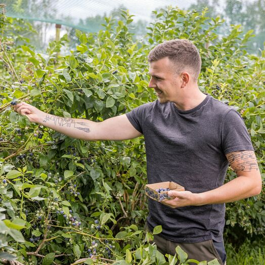 Maximilian Sohm in seiner "Heidelbeerwelt" im Lauteracher Ried