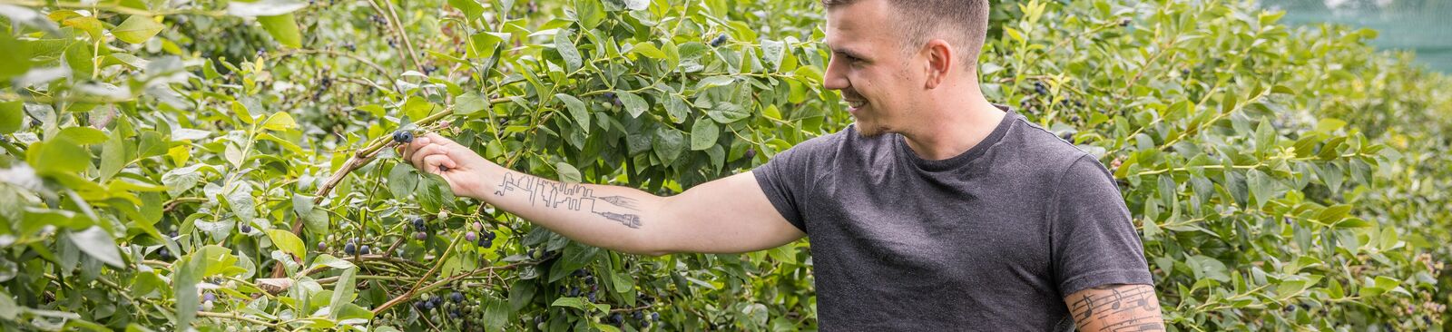 Maximilian Sohm in seiner "Heidelbeerwelt" im Lauteracher Ried