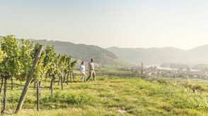 Wandern am Welterbesteig Wachau