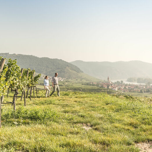 Wandern am Welterbesteig Wachau