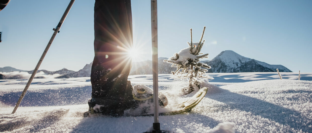 Schneeschuhwandern in der Region Dachstein Salzkammergut in Oberösterreich