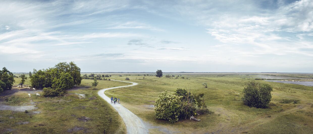 In der stillen Ebene: Nationalpark Neusiedler See – Seewinkel