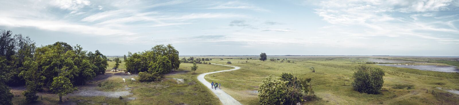 In der stillen Ebene: Nationalpark Neusiedler See – Seewinkel
