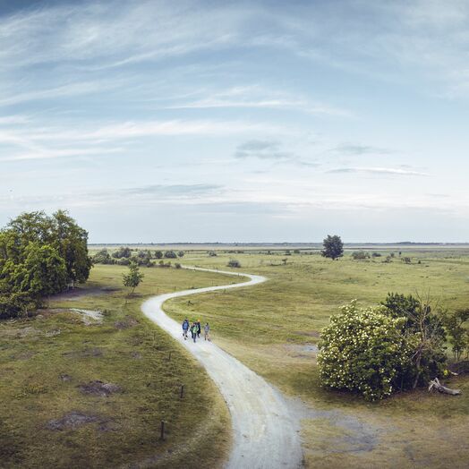 In der stillen Ebene: Nationalpark Neusiedler See – Seewinkel