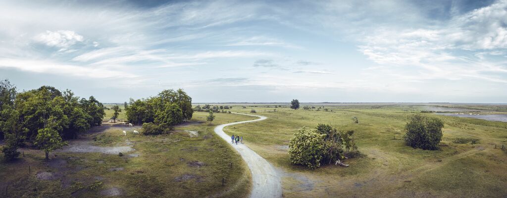 In der stillen Ebene: Nationalpark Neusiedler See – Seewinkel