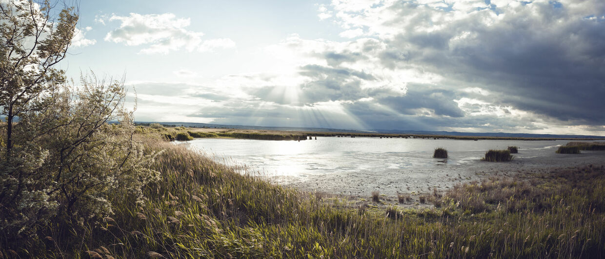 Nationalpark Neusiedler See – Seewinkel