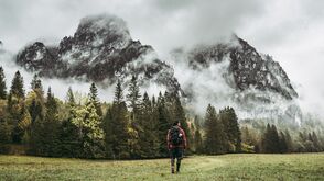 Luchstrail im Nationalpark Kalkalpen