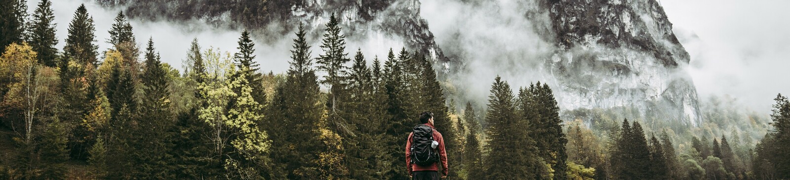 Luchstrail im Nationalpark Kalkalpen