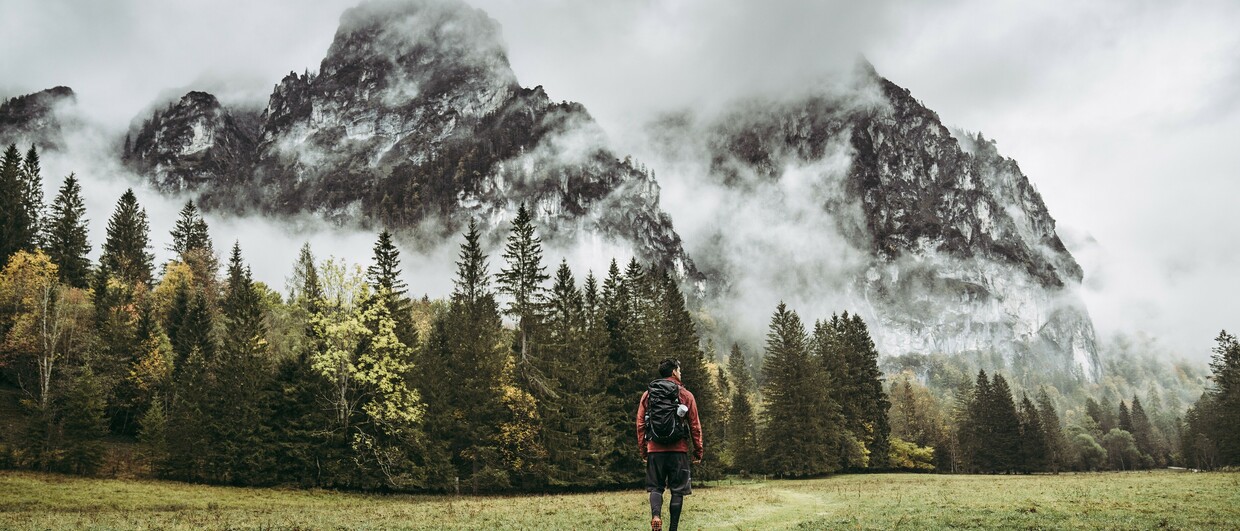 Luchstrail im Nationalpark Kalkalpen