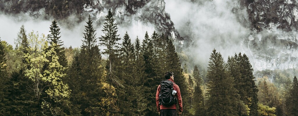 Luchstrail im Nationalpark Kalkalpen