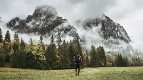 Luchstrail im Nationalpark Kalkalpen