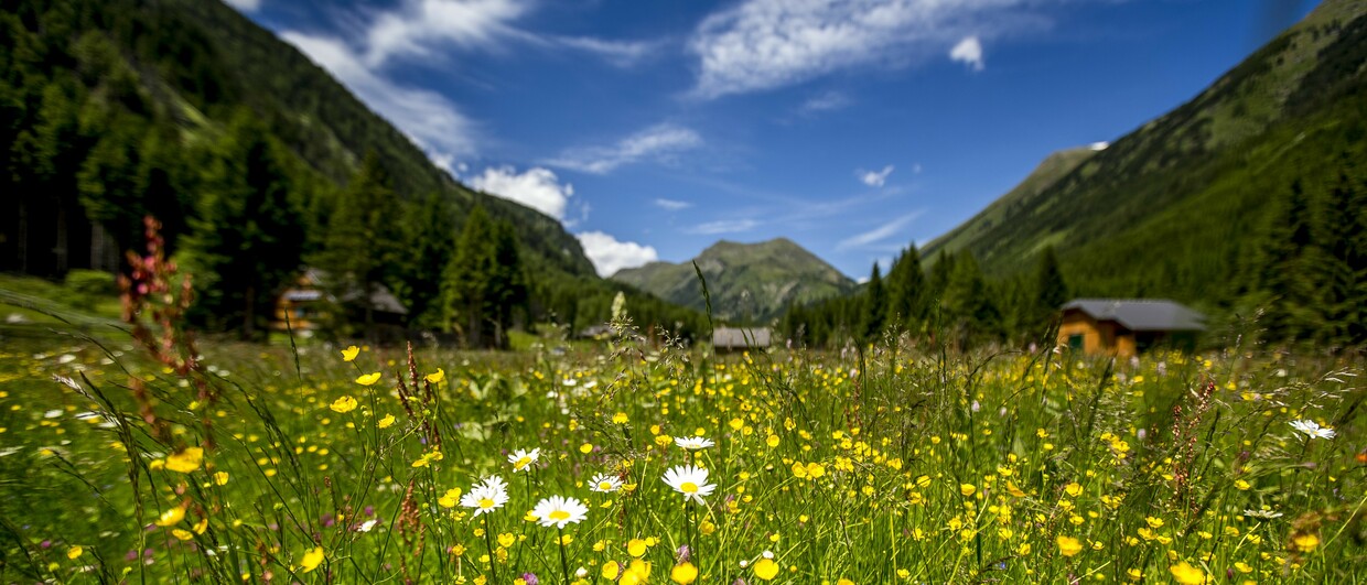 Naturpark Sölktäler
