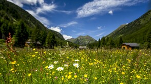 Naturpark Sölktäler