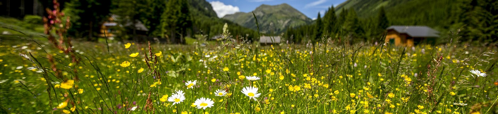 Naturpark Sölktäler
