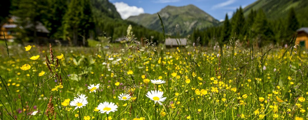 Naturpark Sölktäler
