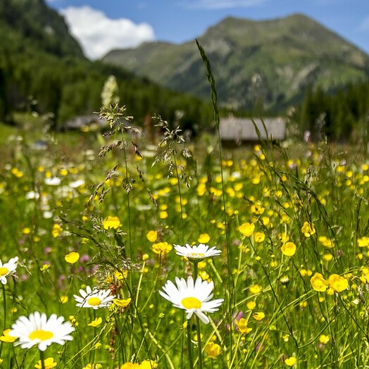 Naturpark Sölktäler