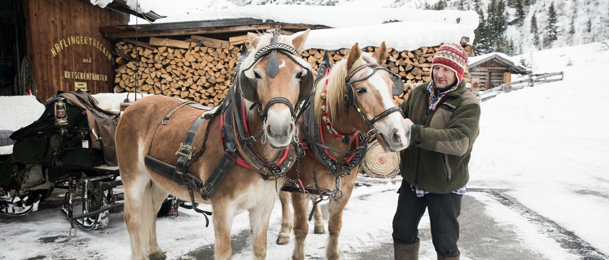 Ausfahrten mit dem Pferdeschlitten bietet der Reithof Pitztal an.