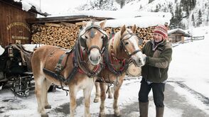 Ausfahrten mit dem Pferdeschlitten bietet der Reithof Pitztal an.