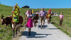 Almabtrieb von der Loferer Alm