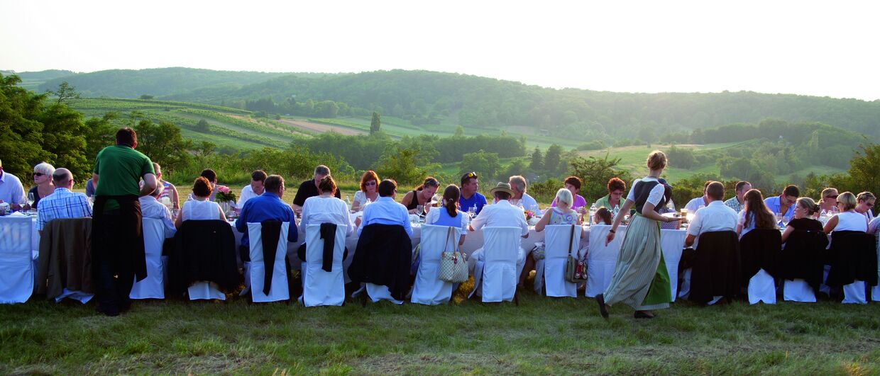 Tafeln im Weinviertel