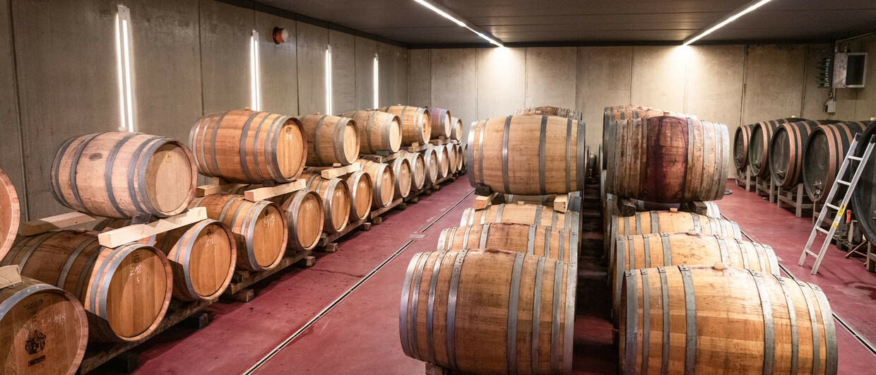 Fasskeller im Weingut Christ