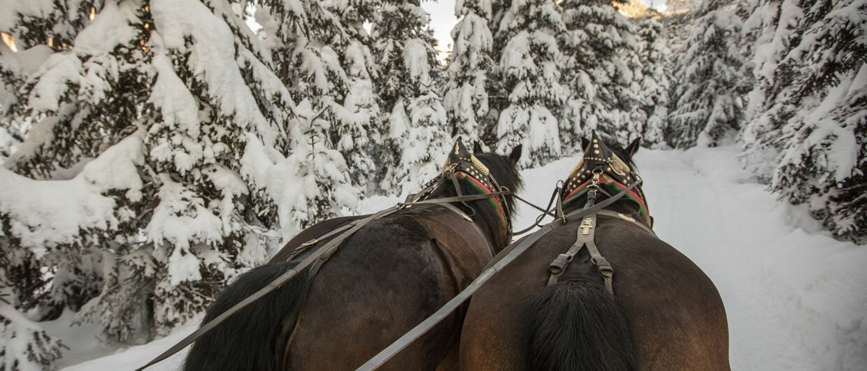 Pferdekutschenfahrten in Gosau am Fuße des Dachsteins