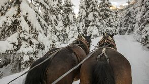 Pferdekutschenfahrten in Gosau am Fuße des Dachsteins