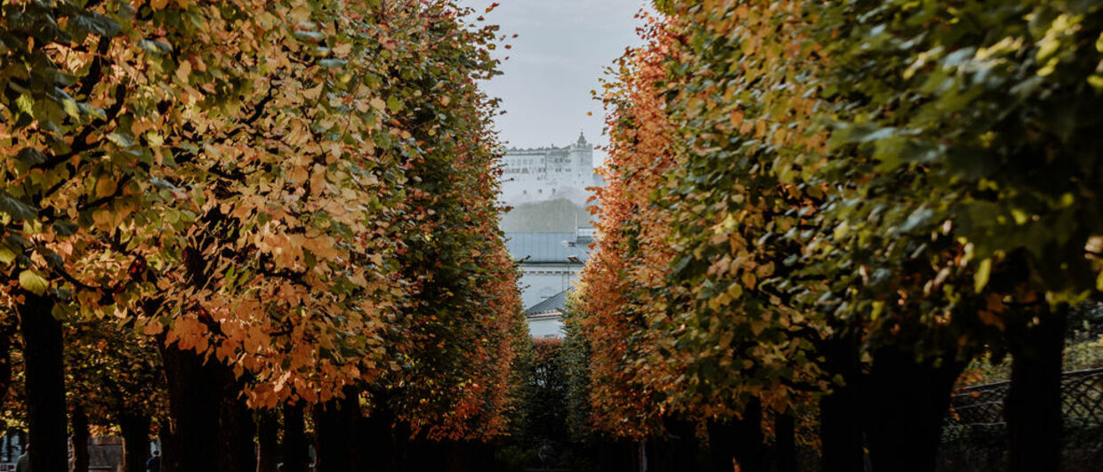 Les Jardins de Mirabell à Salzbourg
