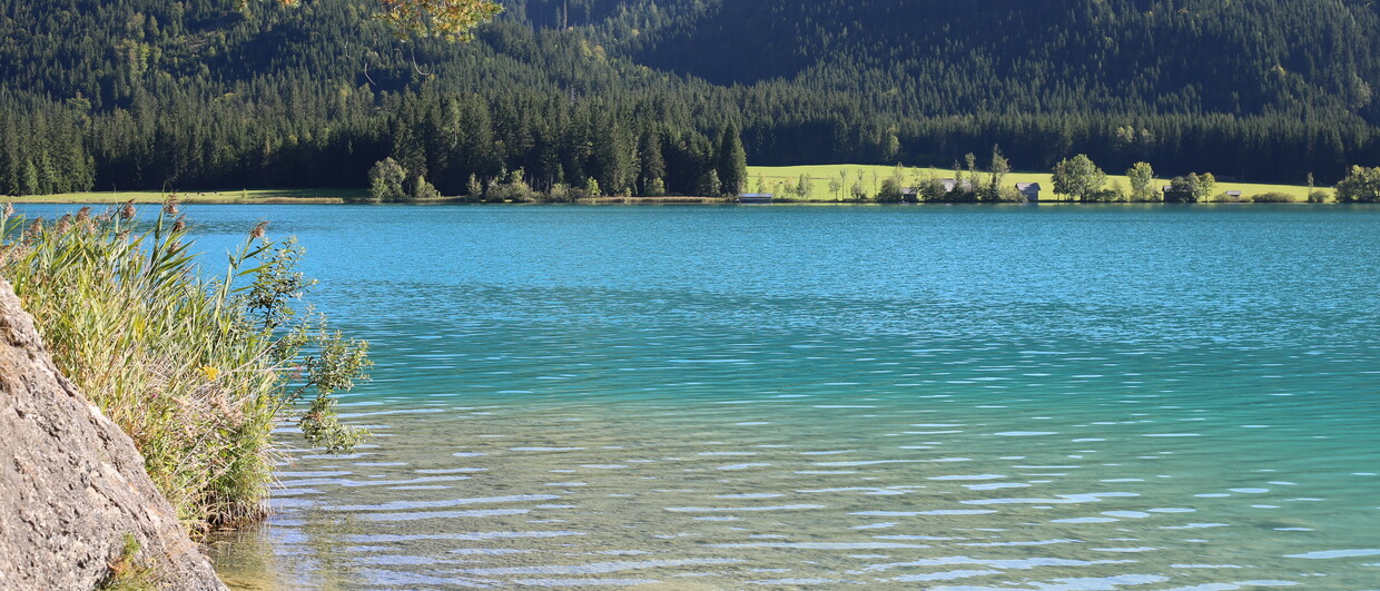 Weissensee Ufer Seeansicht