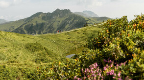 Wandern in Dorfgastein